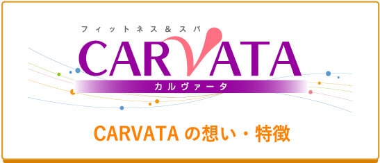 CARVATAの想い・特徴